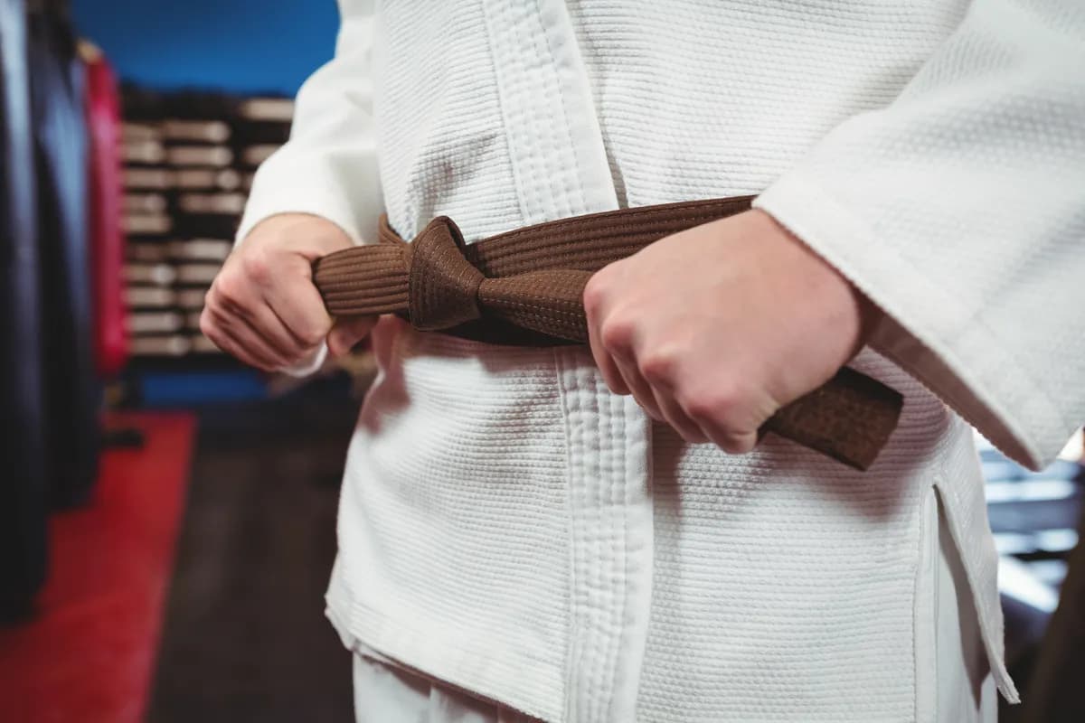 BJJ Belts in Order: Jiu-Jitsu Belt Ranks, Stripes & Requirements